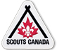 Scouts Logo Corporate Party